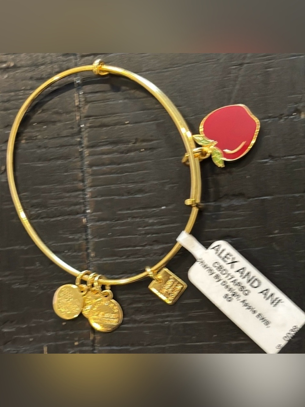 NWT Alex And Ani Red Apple Charm Bangle Bracelet Teacher Energy Adjustable​